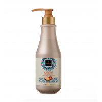 Шампунь для волос с маслом аргана Famirel Shampoo Argan Oil Renovation & Protection