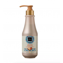 Шампунь для волос с маслом аргана Famirel Shampoo Argan Oil Renovation & Protection